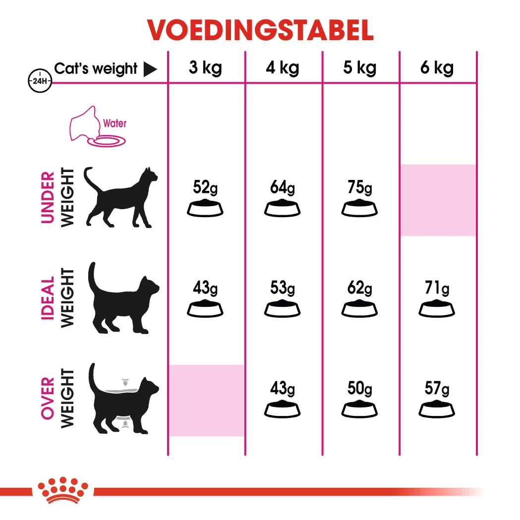 Royal Canin Protein Exigent Pour Chat 10kg – Image 2