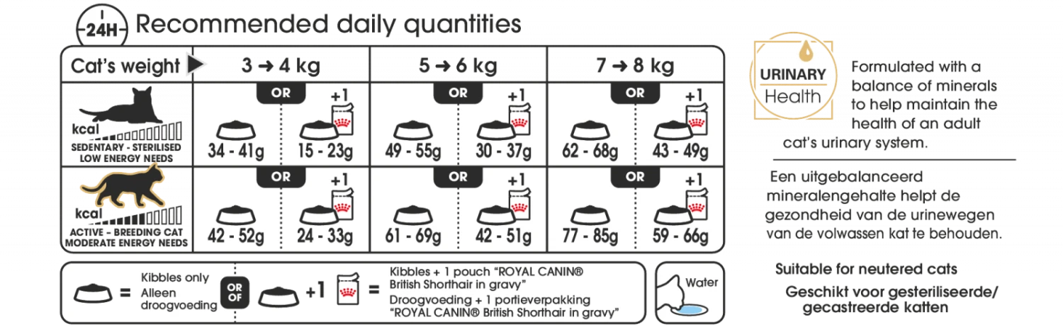 Royal Canin British Shorthair Chaton 2kg – Image 2