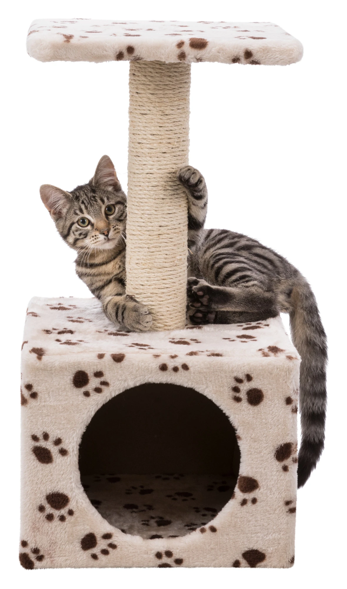 Trixie Junior Arbre À Chat Zamora 60 Cm – Image 3