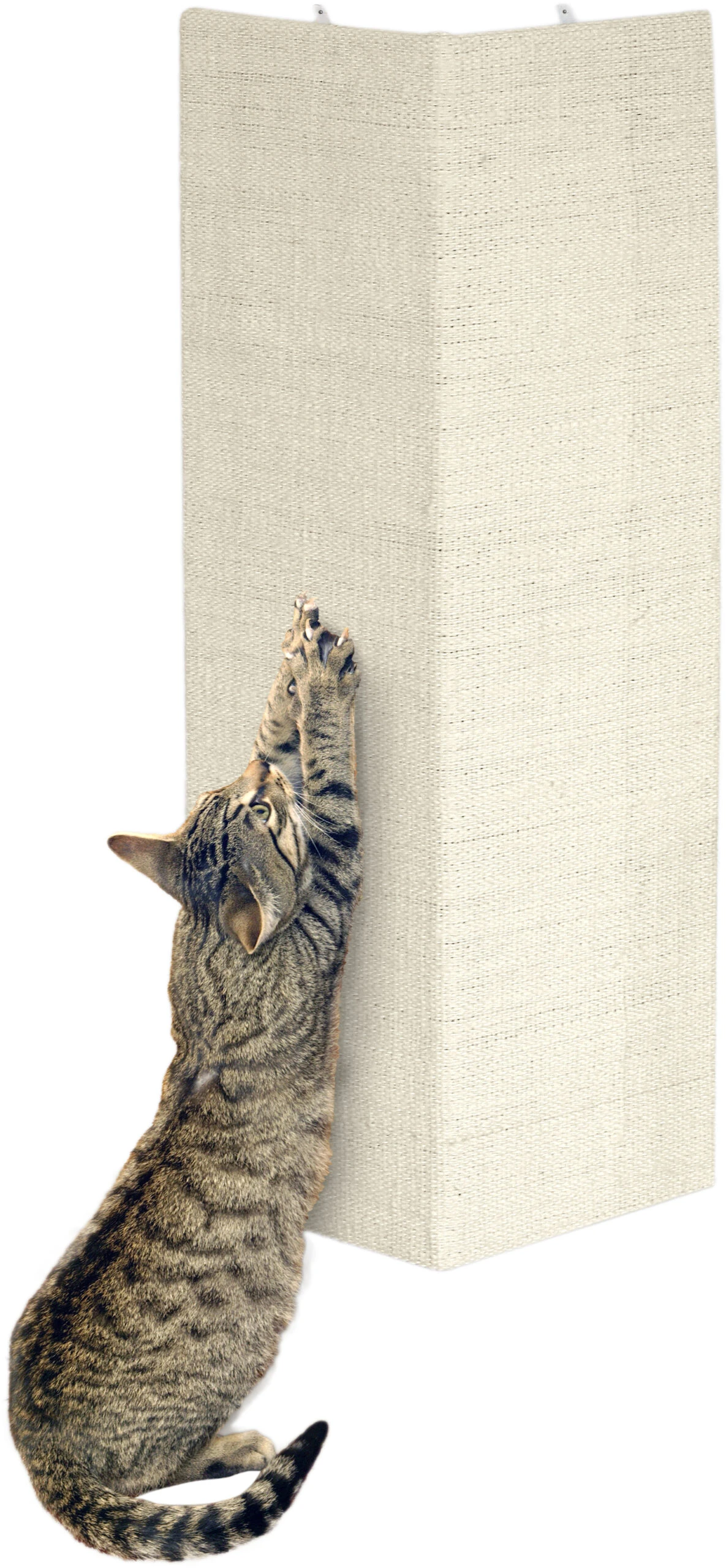 Flamingo Griffoir Sisal Beige 28x80 – Image 3