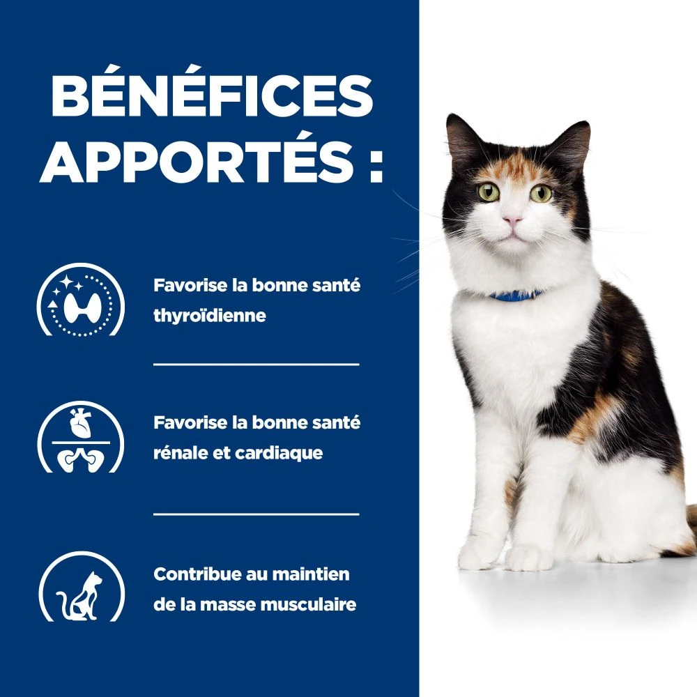 Hill's Prescription Diet Y/D Thyroïd Pour Chat – Image 5