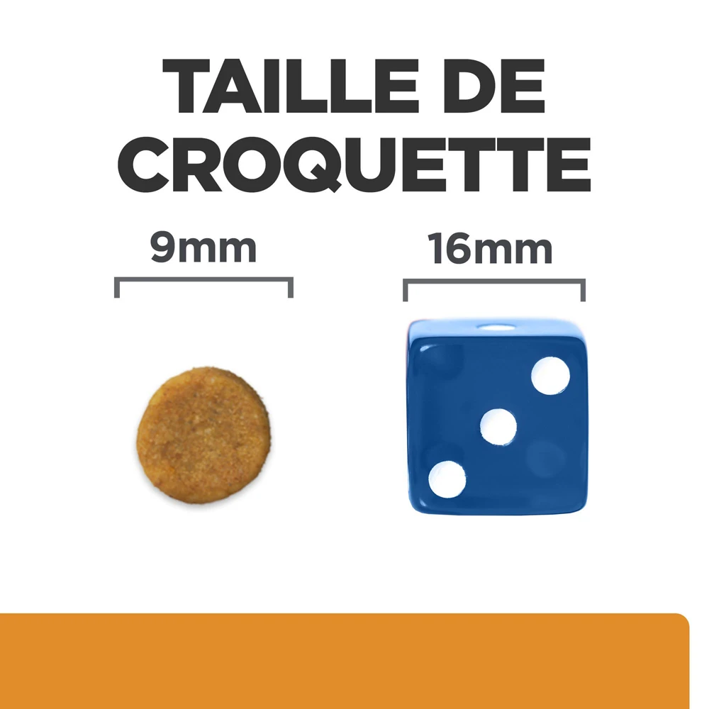 Hill's Prescription Diet K/D Kidney Croquettes Pour Chat Au Poulet - 8Kg – Image 5