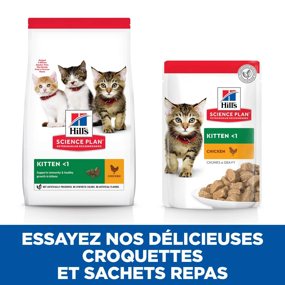 Hill's Science Plan Kitten Multipack 12 Sachets Repas Pour Chaton Poulet Et Poisson – Image 8