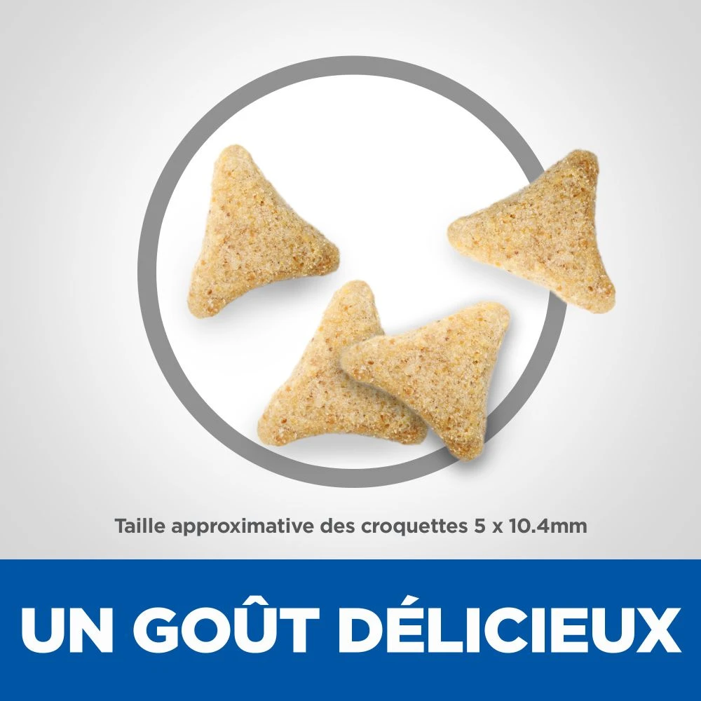 Hill's Science Plan Adult Hairball Indoor Croquettes Pour Chat Sénior D'intérieur Au Poulet 1,5 Kg – Image 4