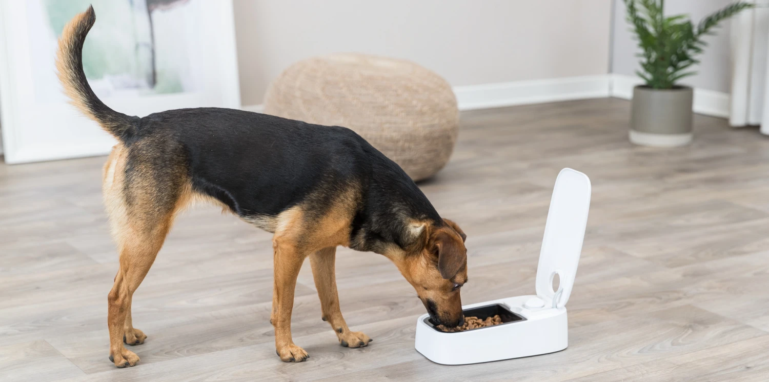 Trixie Distributeur Automatique De Nourriture Tx1 – Image 4