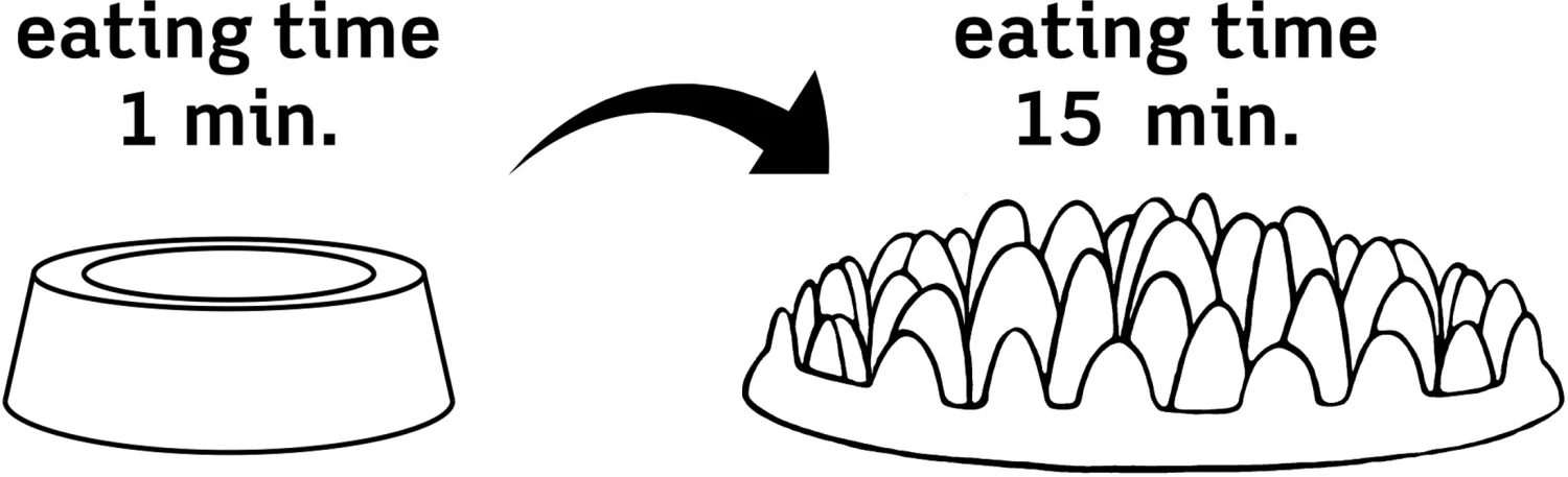 Flamingo Gamelle Anti-glouton Northmate Green Mini 29x22,5x7cm – Image 4