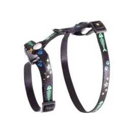 Harnais Pour Chat Fish, Bone & Star