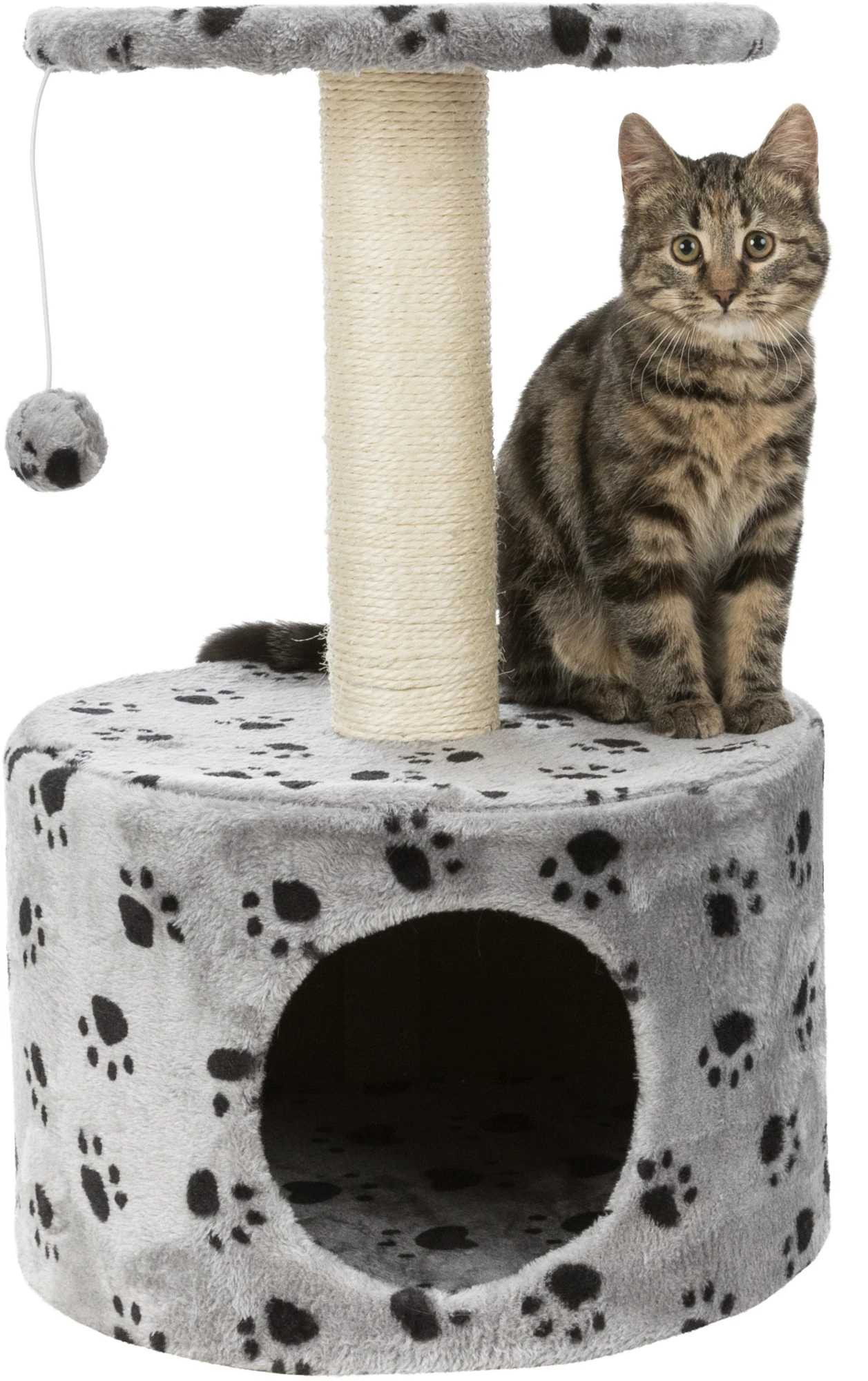Trixie Junior Arbre À Chat Toledo 61 Cm – Image 2