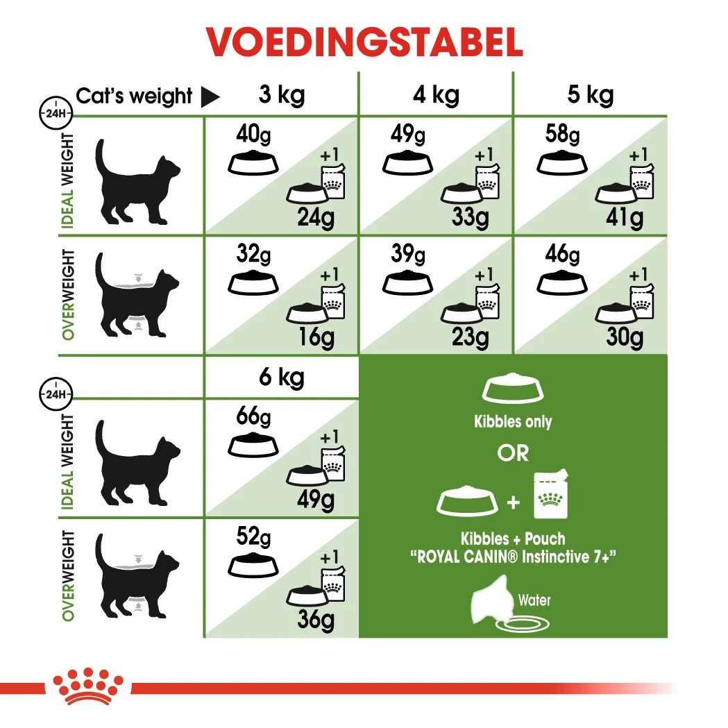 Royal Canin Outdoor 7+ Pour Chat 4kg – Image 2