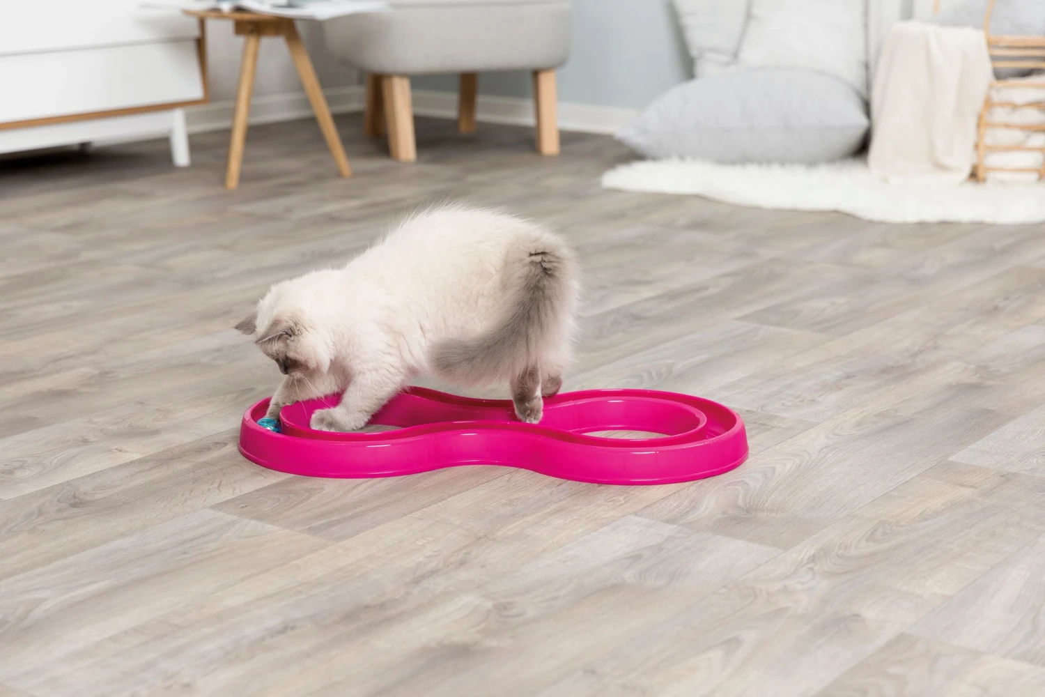 Trixie Jeu Pour Chat Flashing Ball Race 65 X 31 Cm – Image 3