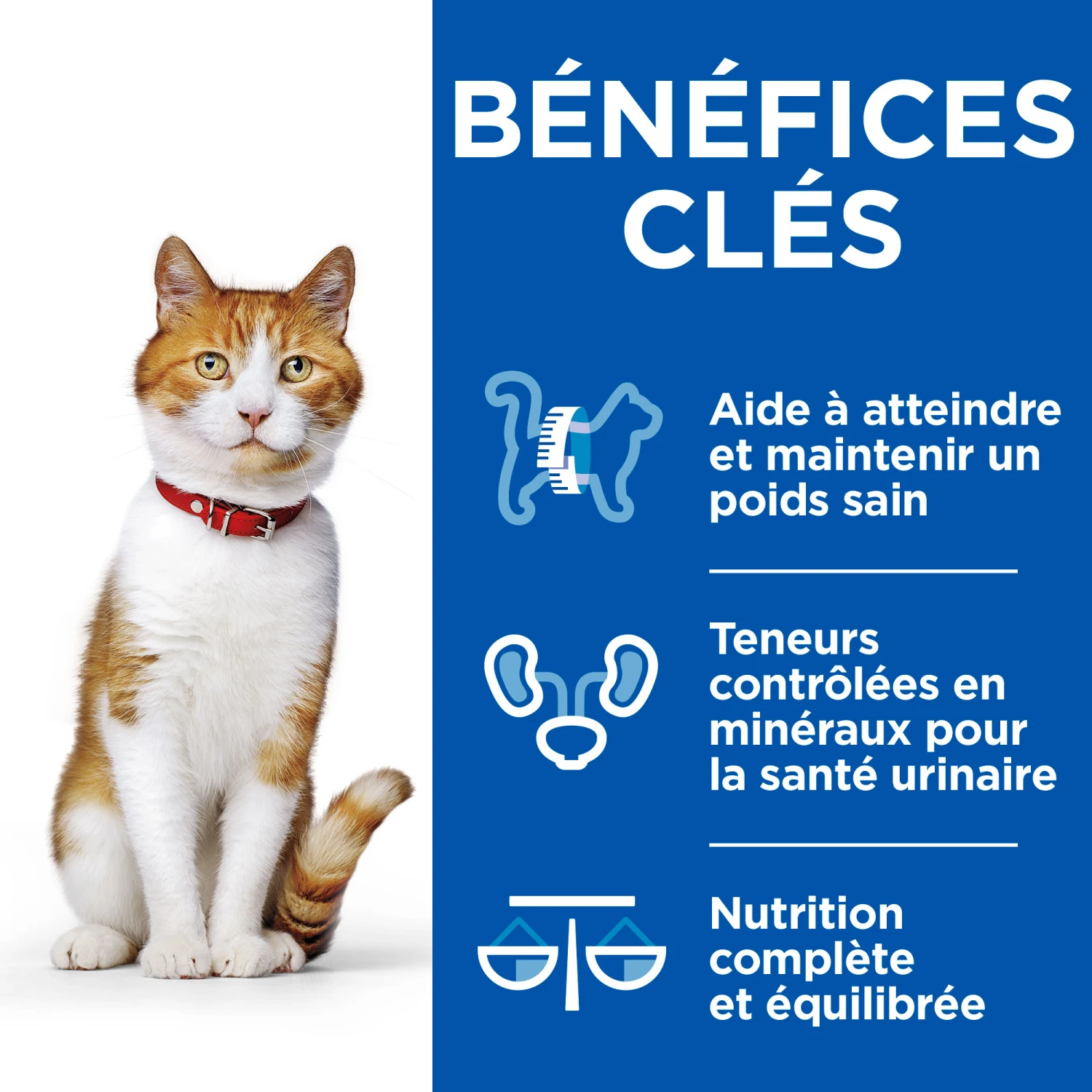 HILL'S SCIENCE PLAN HEALTHY CUISINE MIJOTÉS POUR CHAT ADULTE STÉRILISÉ AU POULET ET AU SAUMON 12X80G – Image 7
