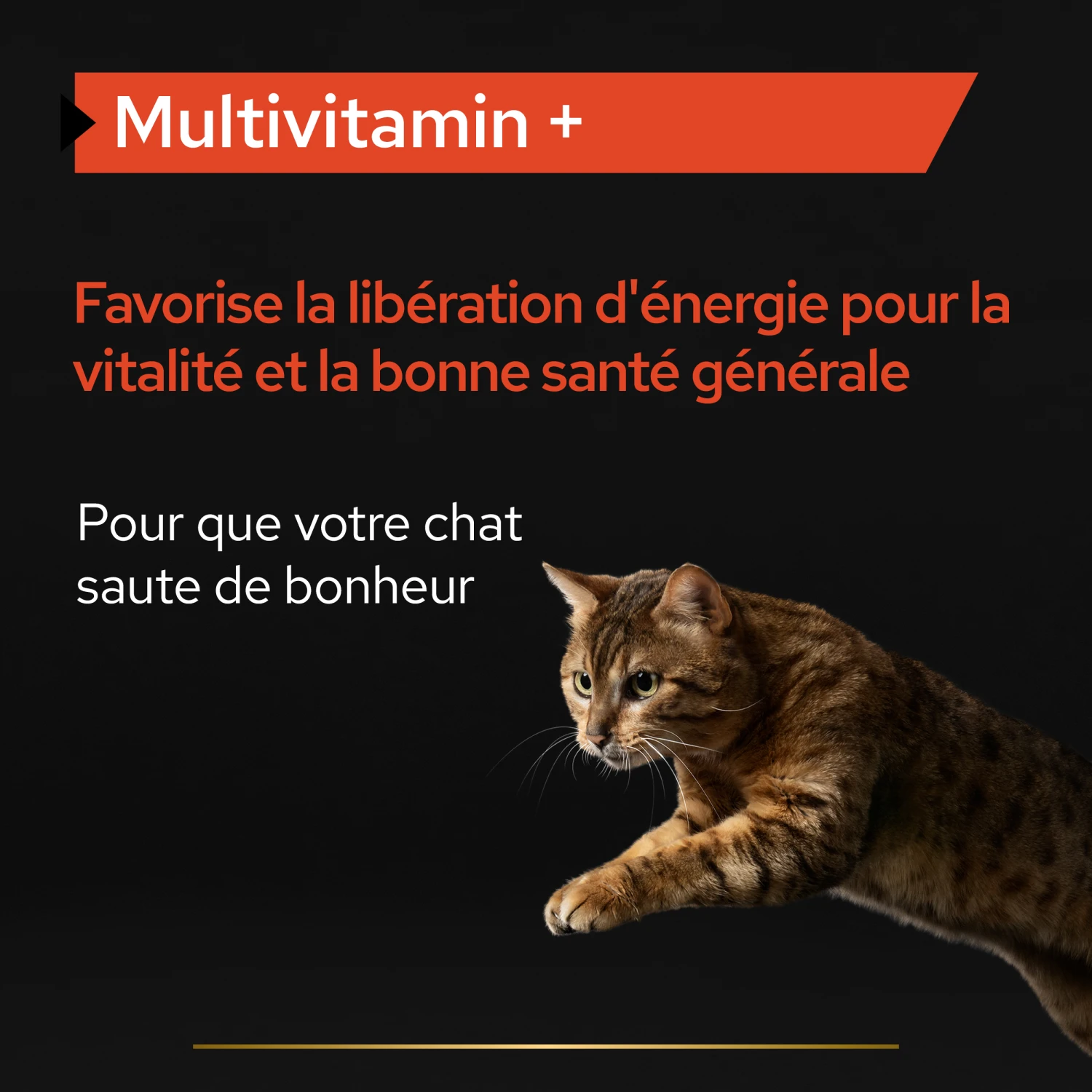 Purina PRO PLAN MULTIVITAMINS+ CHAT ALIMENT COMPLEMENTAIRE - 60G – Image 6