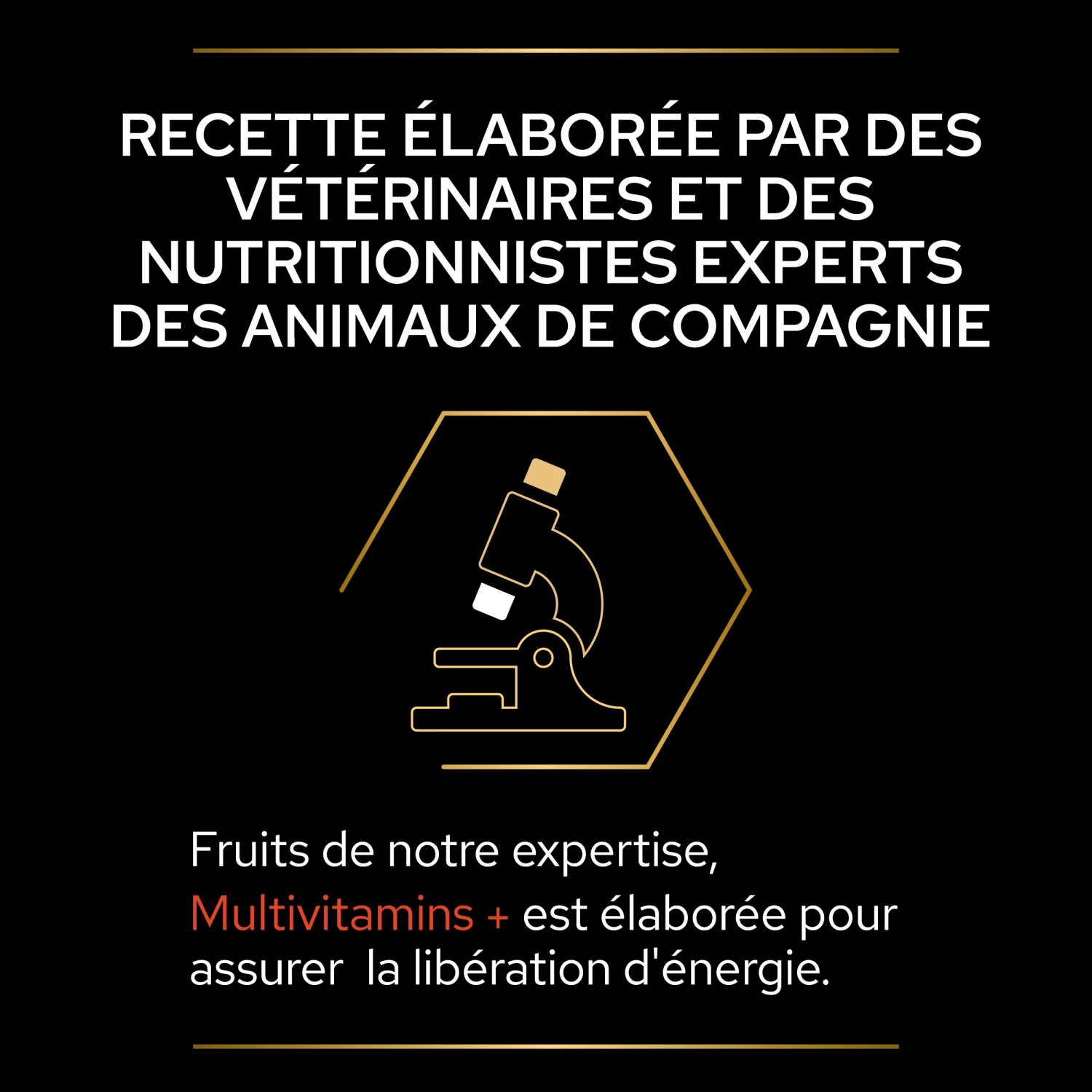 Purina PRO PLAN MULTIVITAMINS+ CHAT ALIMENT COMPLEMENTAIRE - 60G – Image 9