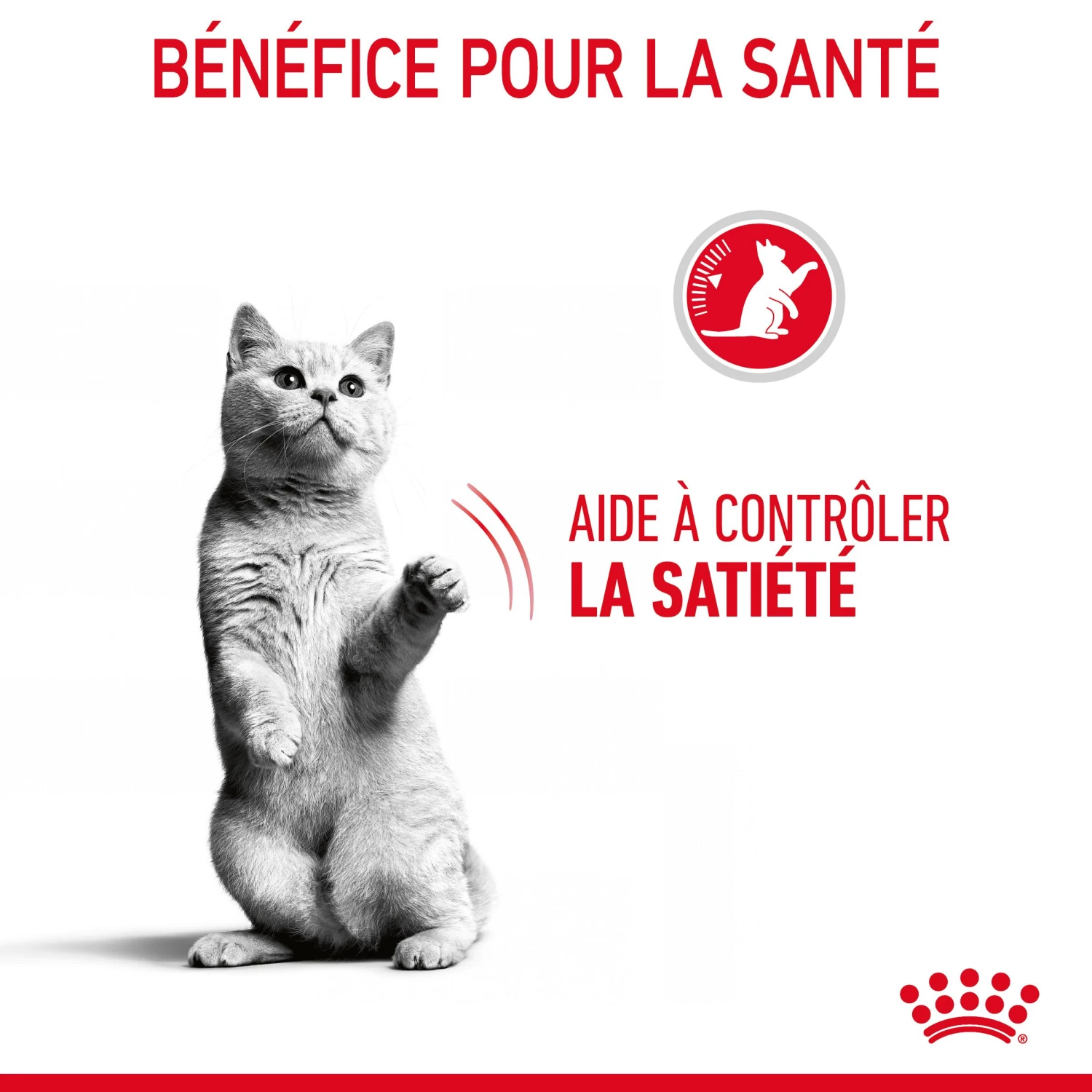 Royal Canin Appetite Control Pour Chat 2kg – Image 7