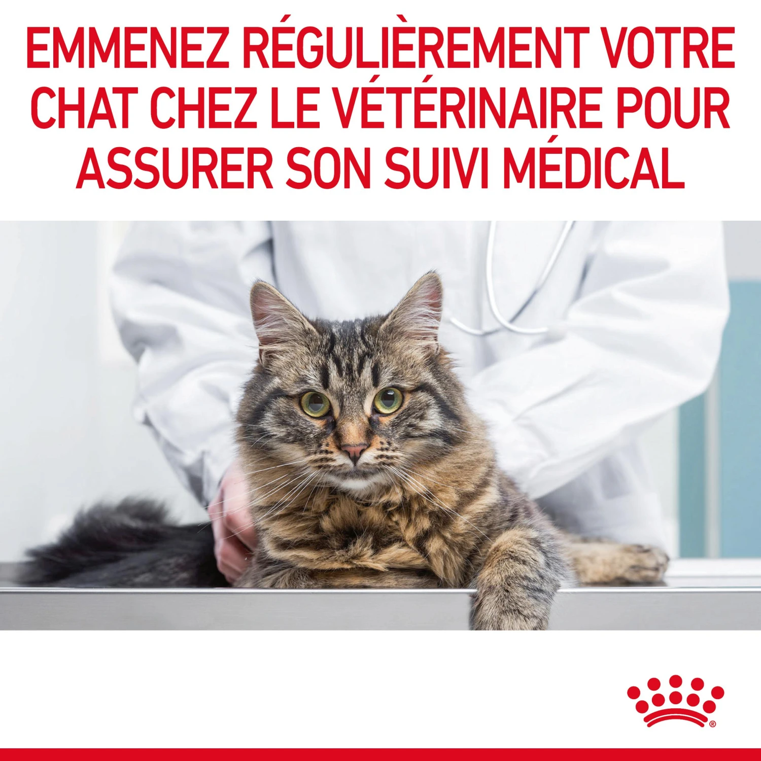 Royal Canin Appetite Control Pour Chat 2kg – Image 11