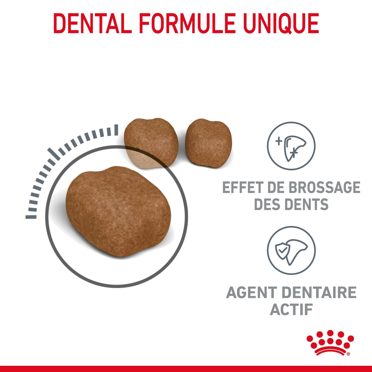 Royal Canin Dental Care Pour Chat 3,5kg – Image 4