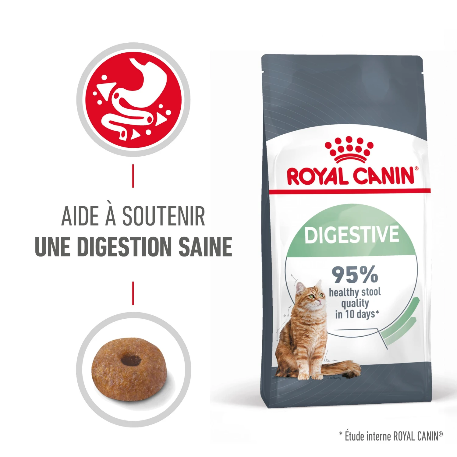 Royal Canin Digestive Care Pour Chat 4kg – Image 2