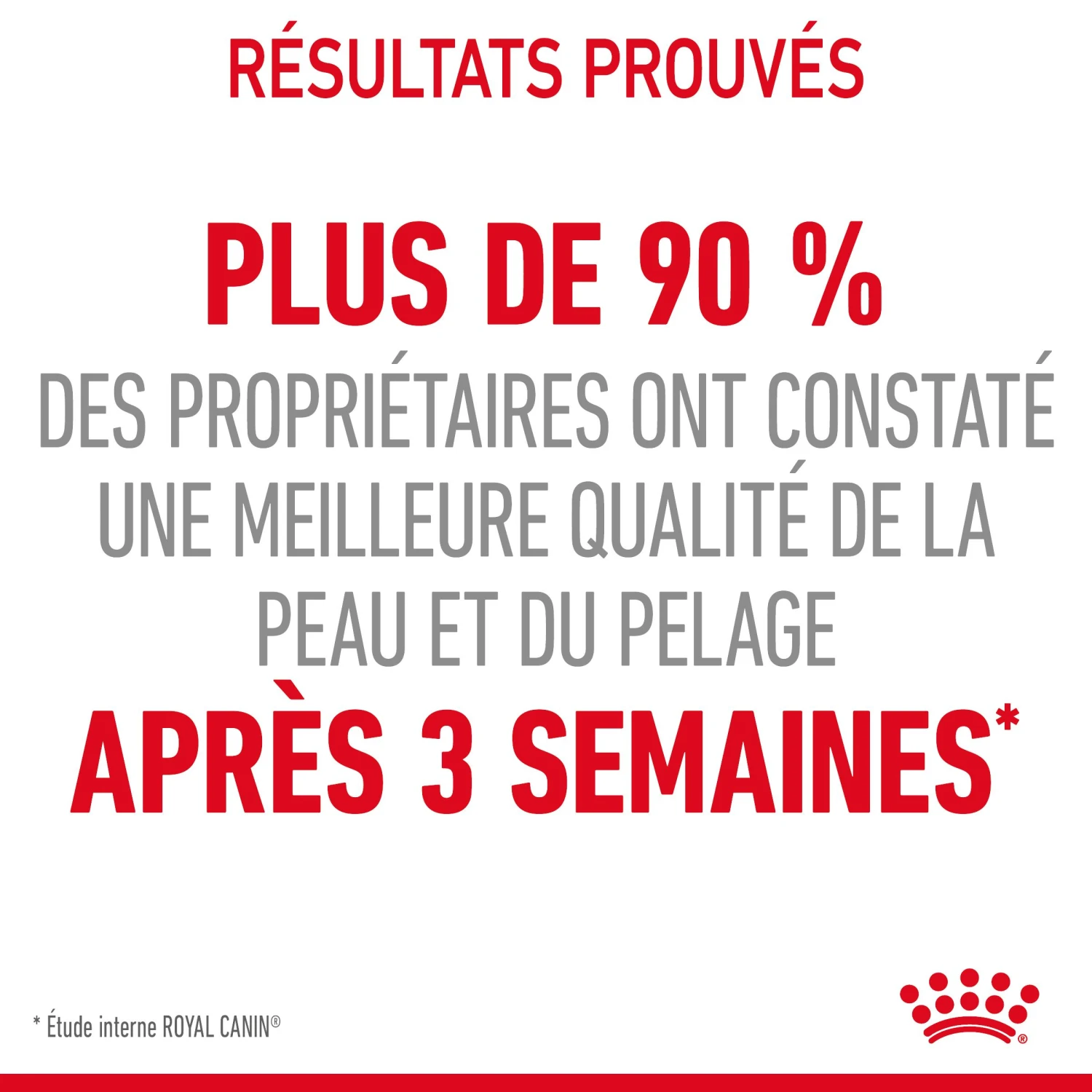 Royal Canin Hair & Skin Care En Sauce Pour Chat 12 Sachets De 85g – Image 13