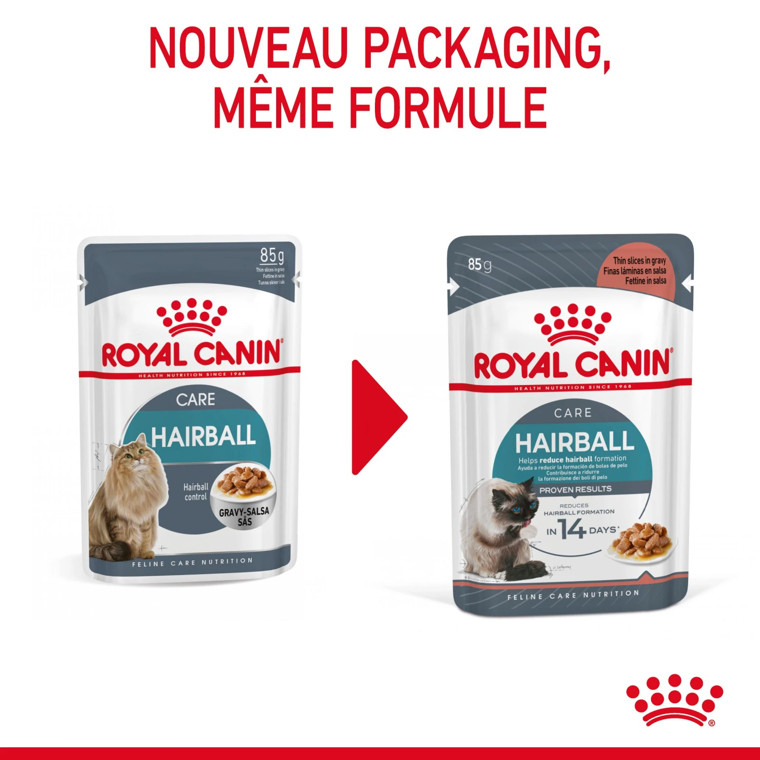 Royal Canin Hairball Care En Sauce Pour Chat 12 Sachets De 85g – Image 4