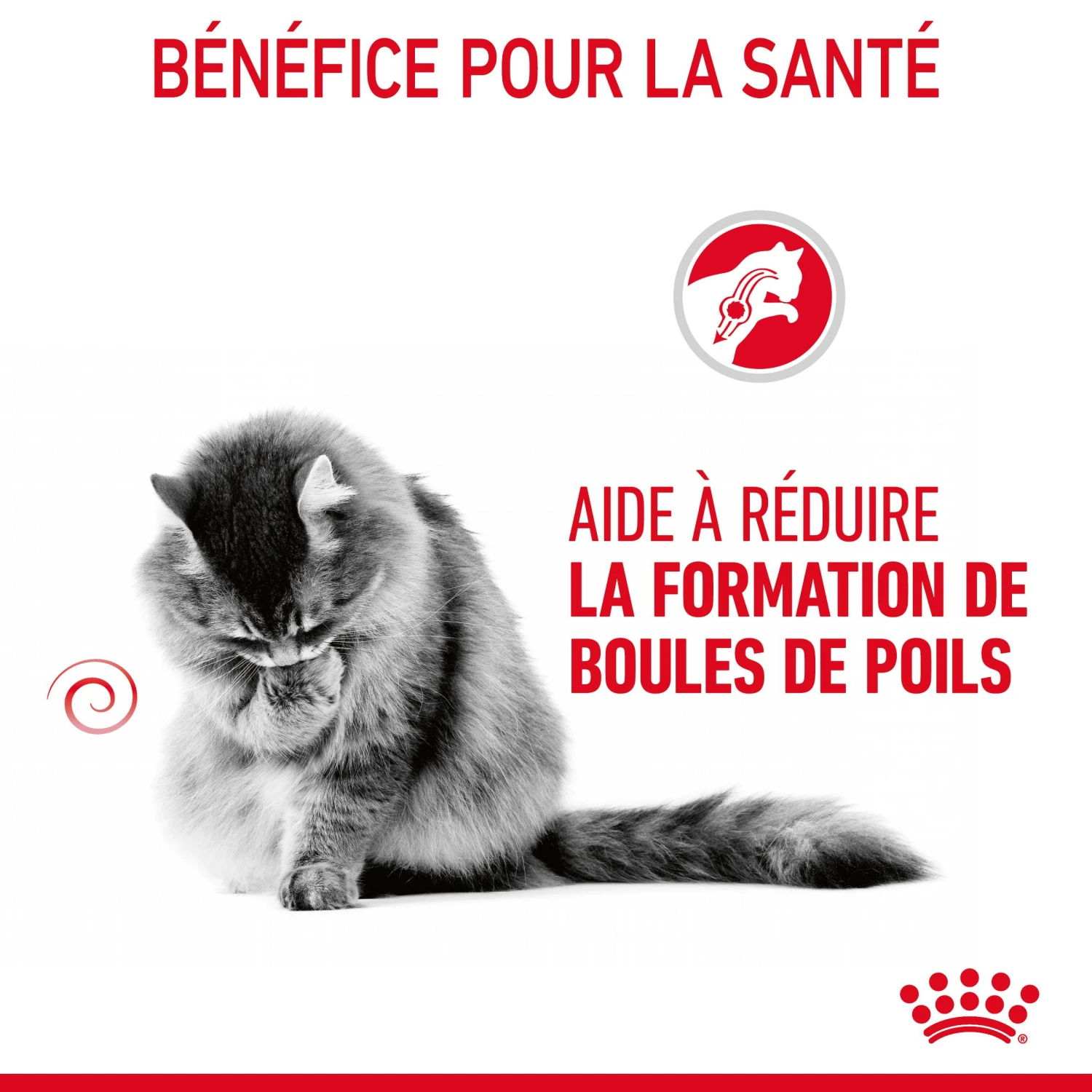 Royal Canin Hairball Care En Sauce Pour Chat 12 Sachets De 85g – Image 8