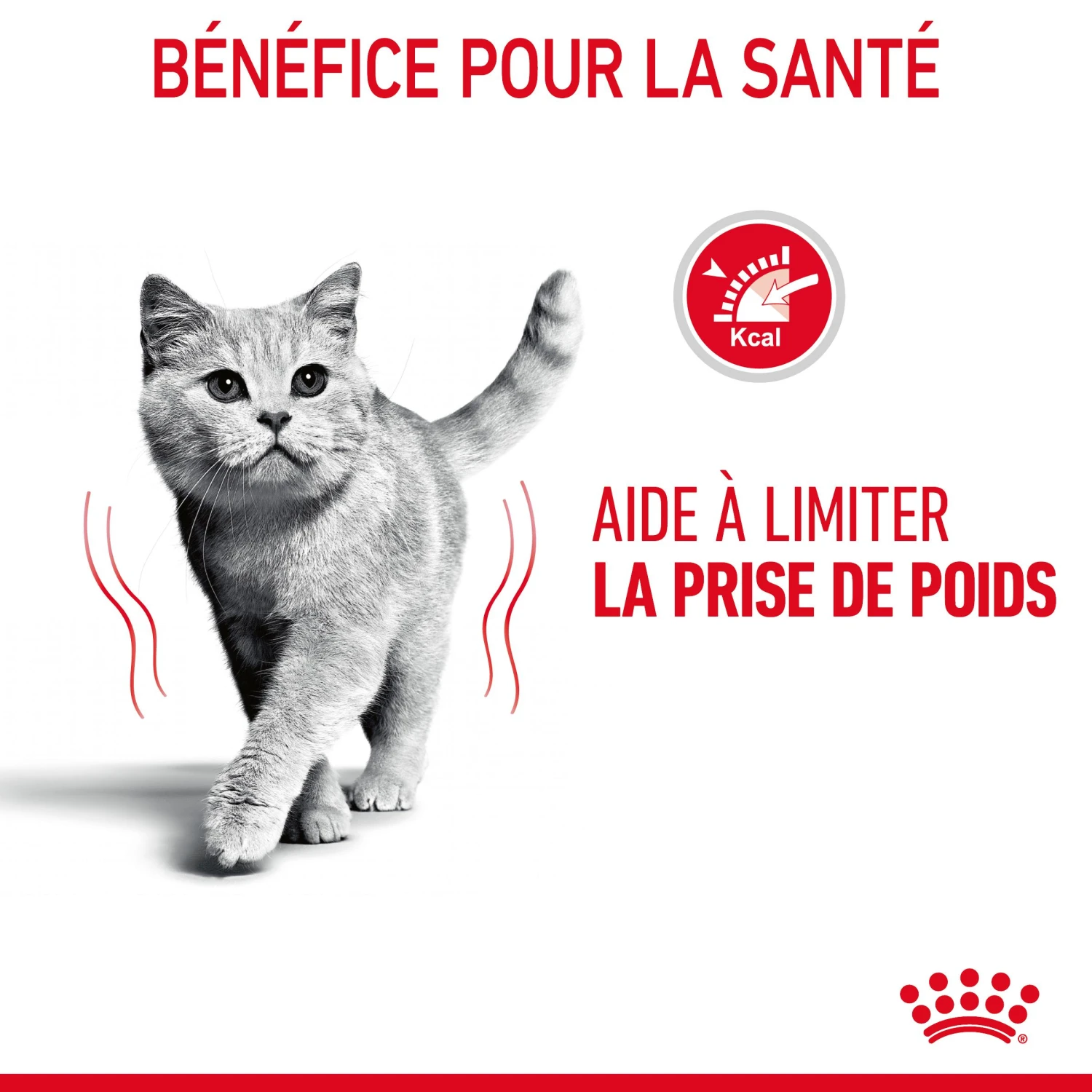 Royal Canin Light Weight Care En Sauce Pour Chat 12 Sachets De 85g – Image 8