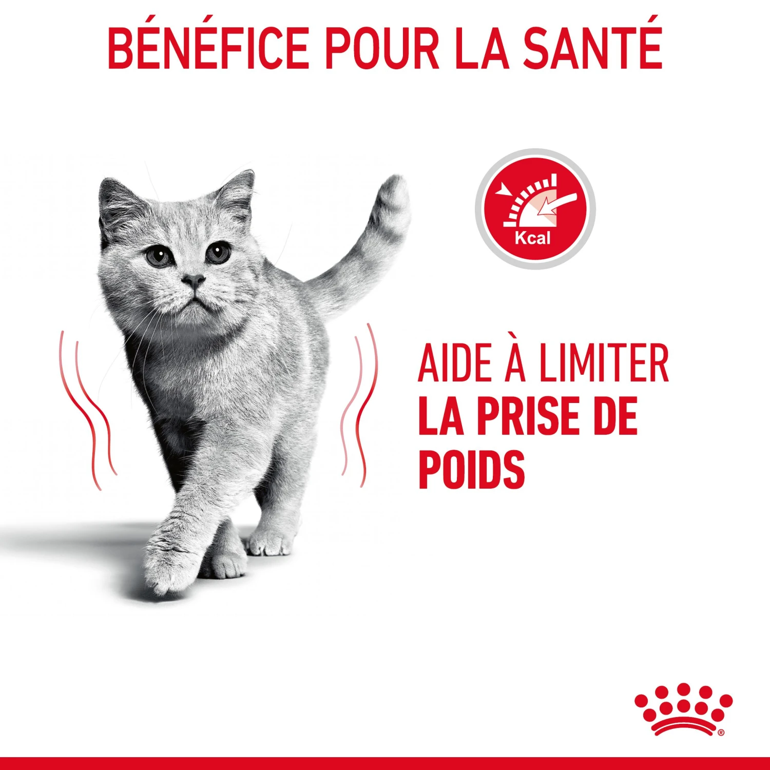 Royal Canin Light Weight Care Pour Chat 1,5kg – Image 7