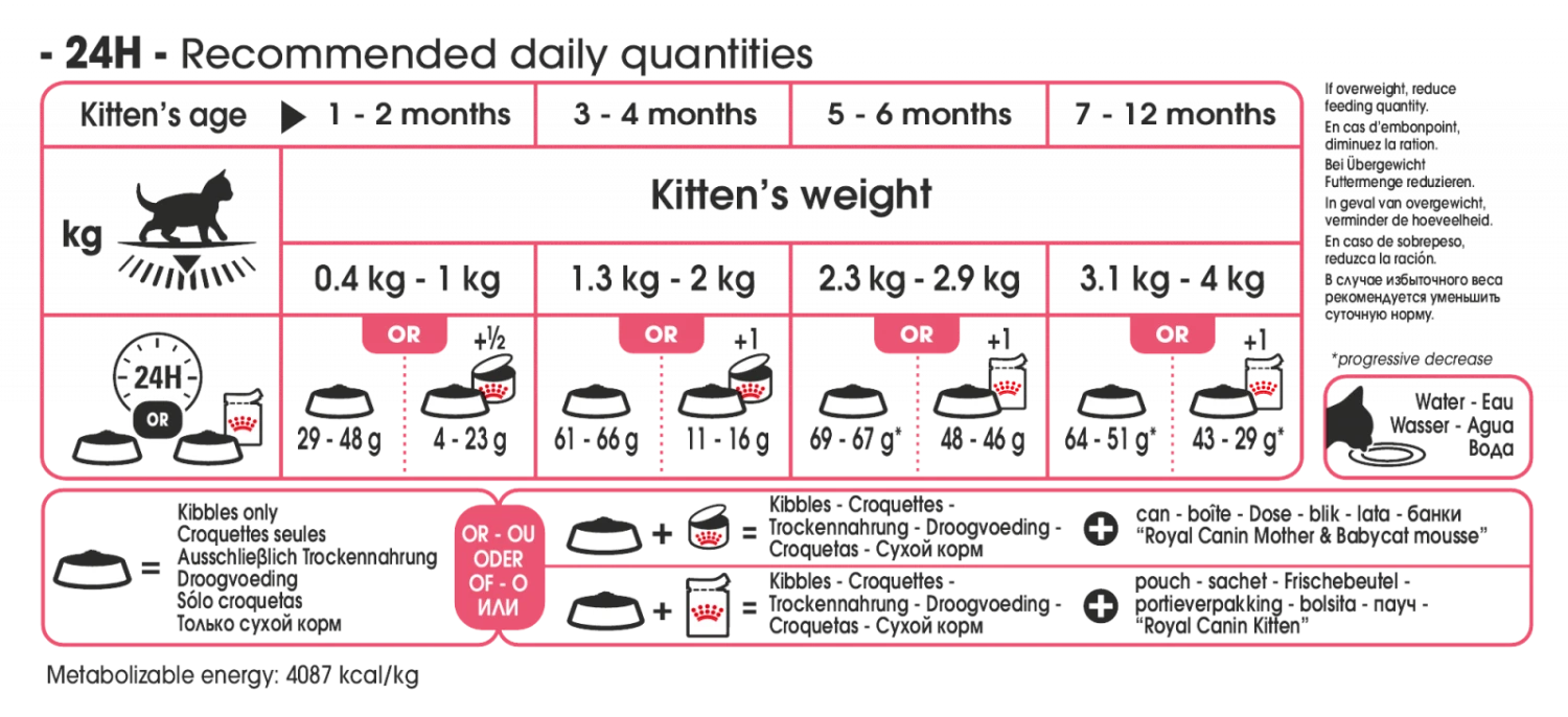 Royal Canin Chaton - 10kg – Image 2