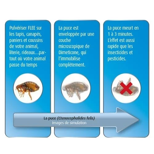 Flee Aerosol 400ml – Image 2