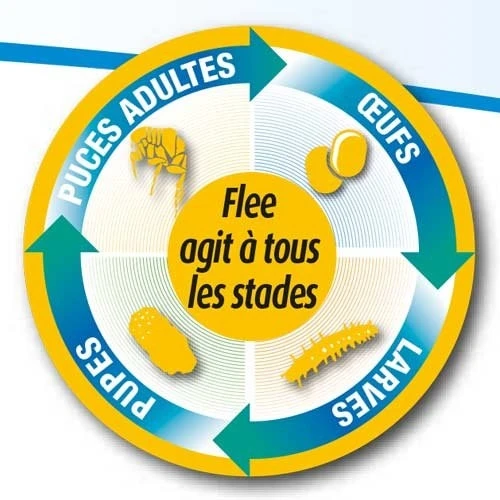 Flee Aerosol 400ml – Image 3