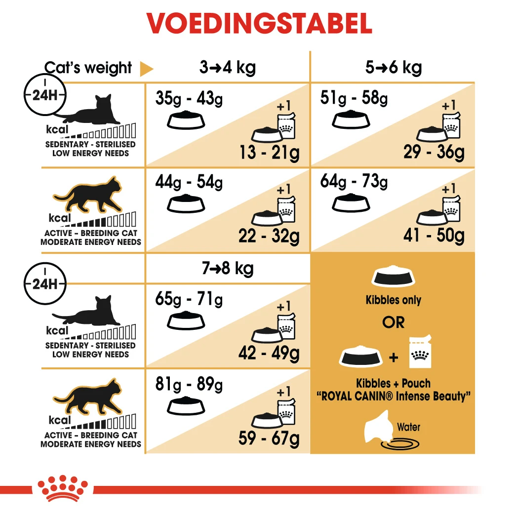 Royal Canin Chat Norvégien Adult 10kg – Image 2