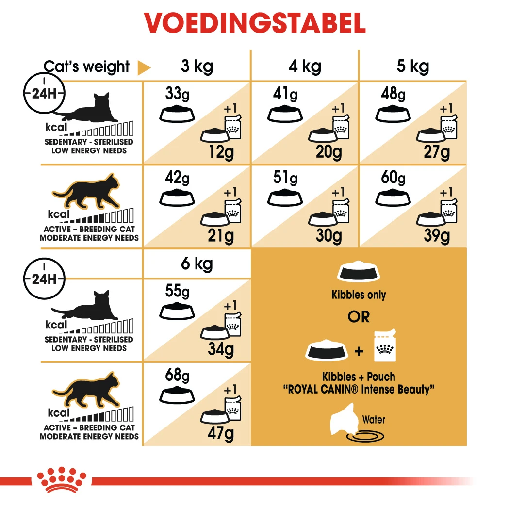 Royal Canin Siamois 38 Pour Chat 10kg – Image 2