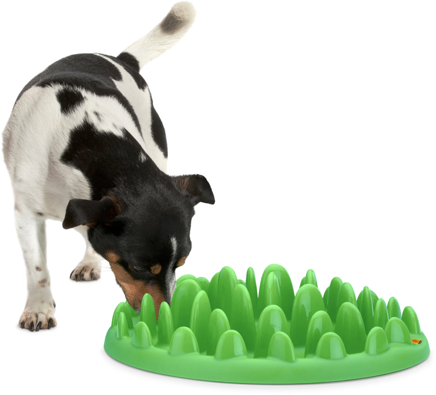 Flamingo Gamelle Anti-glouton Northmate Green Vert 40x30x10cm – Image 3