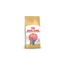 Royal Canin Britisch Shorthair Chatton 10kg