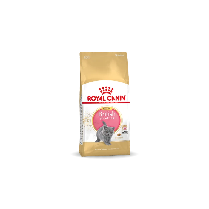 Royal Canin Britisch Shorthair Chatton 10kg