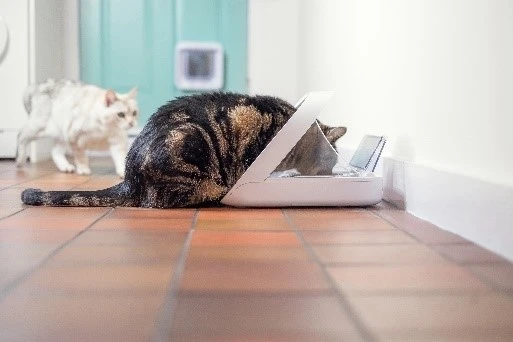 Sureflap Distributeur De Nourriture Connect Surefeed – Image 4