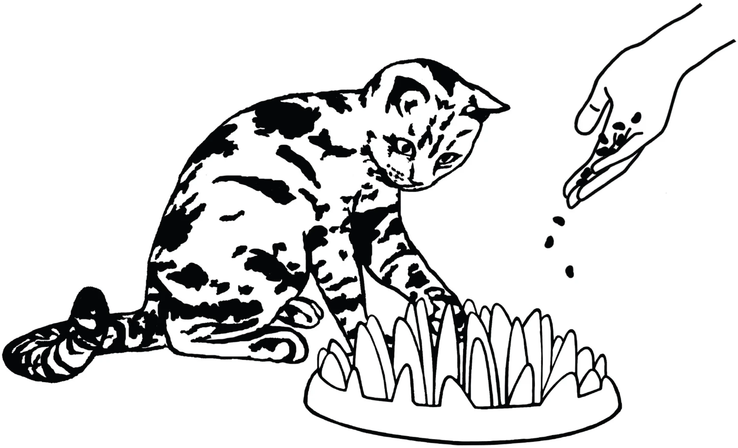 Flamingo Gamelle Anti-glouton Northmate Catch 27x23x8cm Violet – Image 3