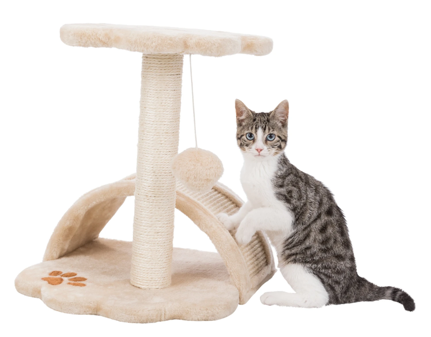 Trixie Junior Arbre À Chat Vitoria 43 Cm – Image 3