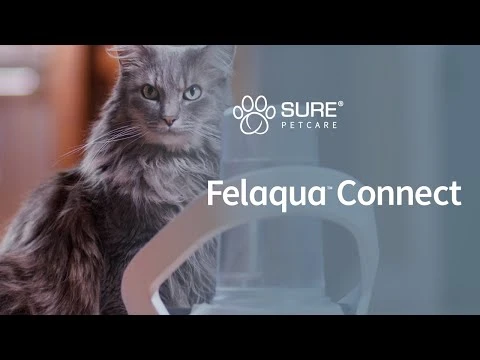 Brand Distributeur D'eau Connect Felaqua – Image 6