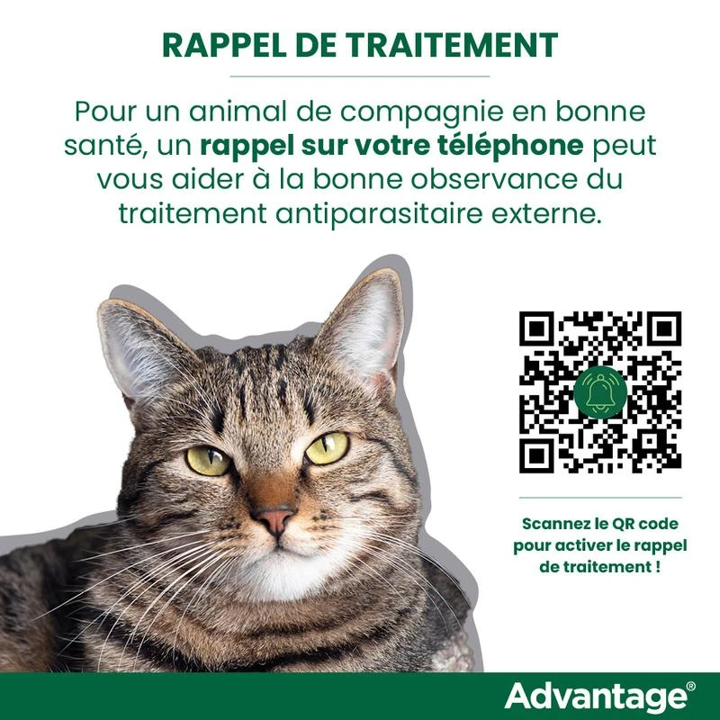 Advantage 80 Chat Et Lapin De Plus De 4 Kg – Image 7