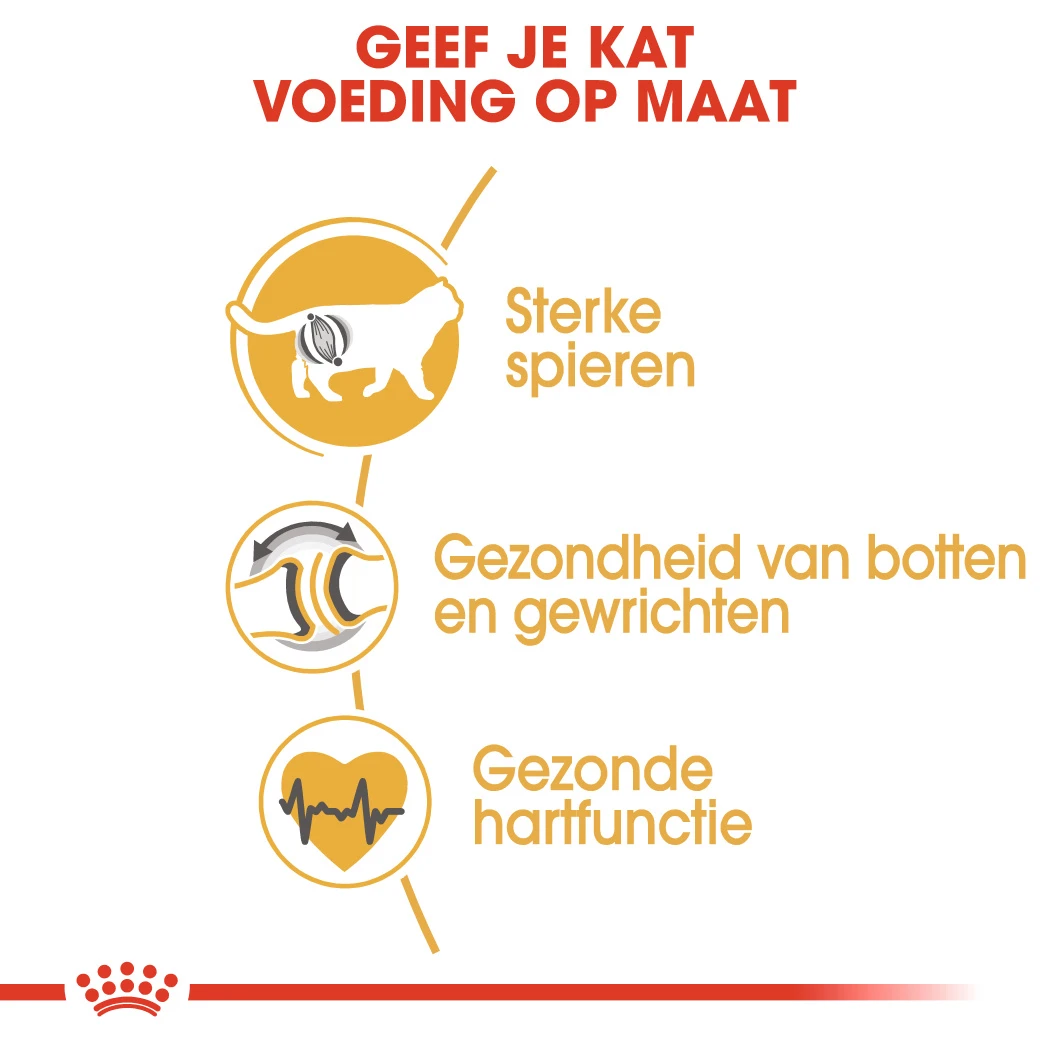 Royal Canin British Shorthair Pour Chat 10kg – Image 6