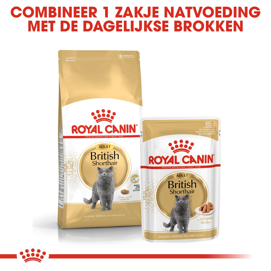 Royal Canin British Shorthair Pour Chat 10kg – Image 7