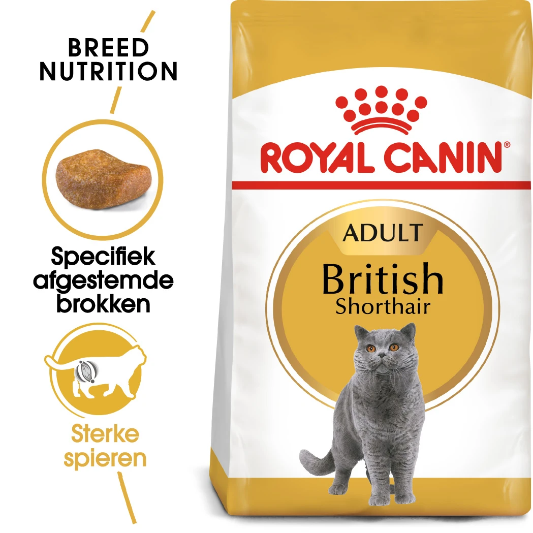 Royal Canin British Shorthair Pour Chat 10kg – Image 3