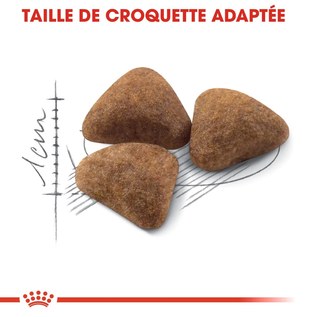 Royal Canin Indoor 27 Adult Pour Chat 10kg – Image 3