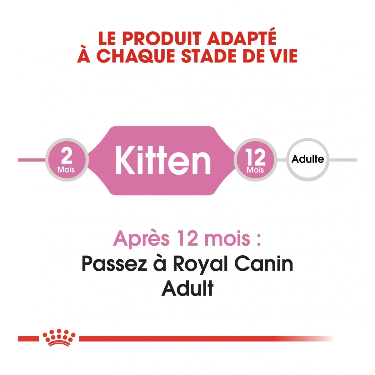 Royal Canin Chaton - 10kg – Image 4