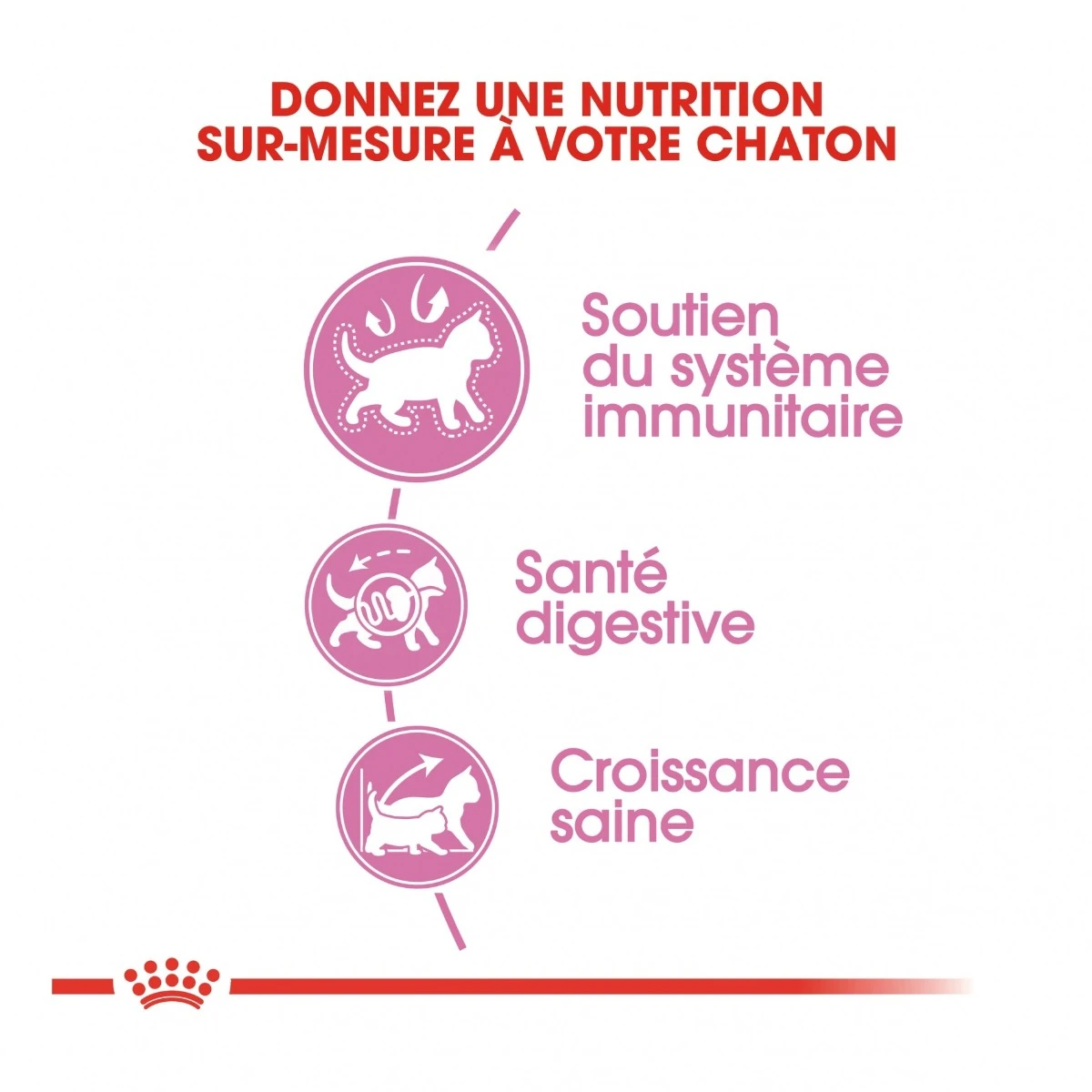 Royal Canin Chaton - 10kg – Image 5