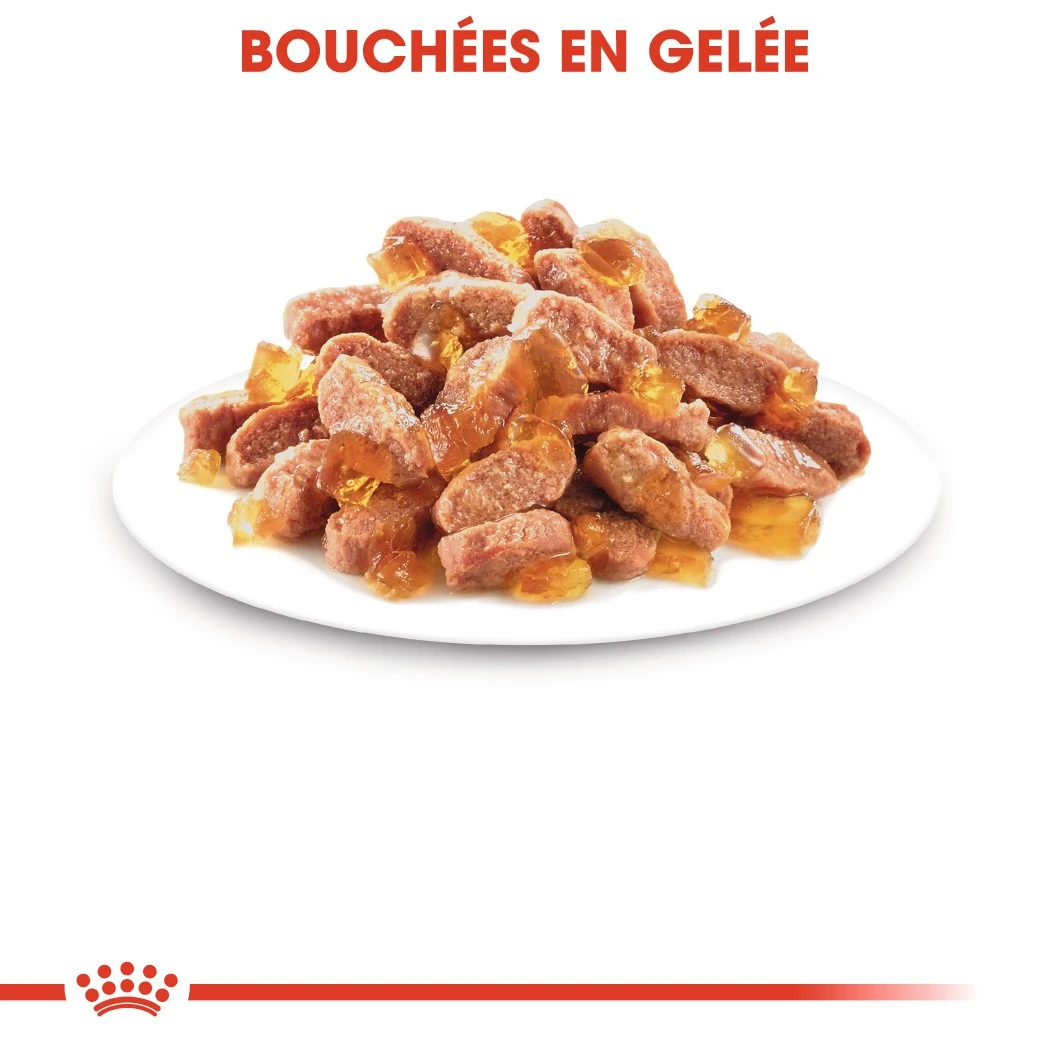 Royal Canin Kitten Sterilised – Image 6