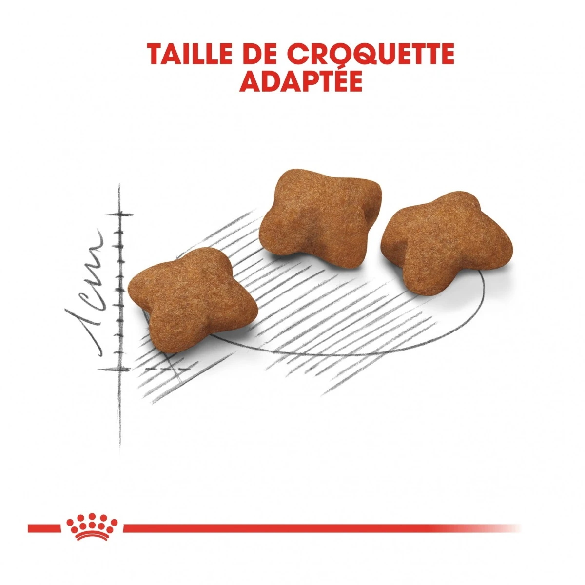 Royal Canin Kitten Sterilised – Image 5