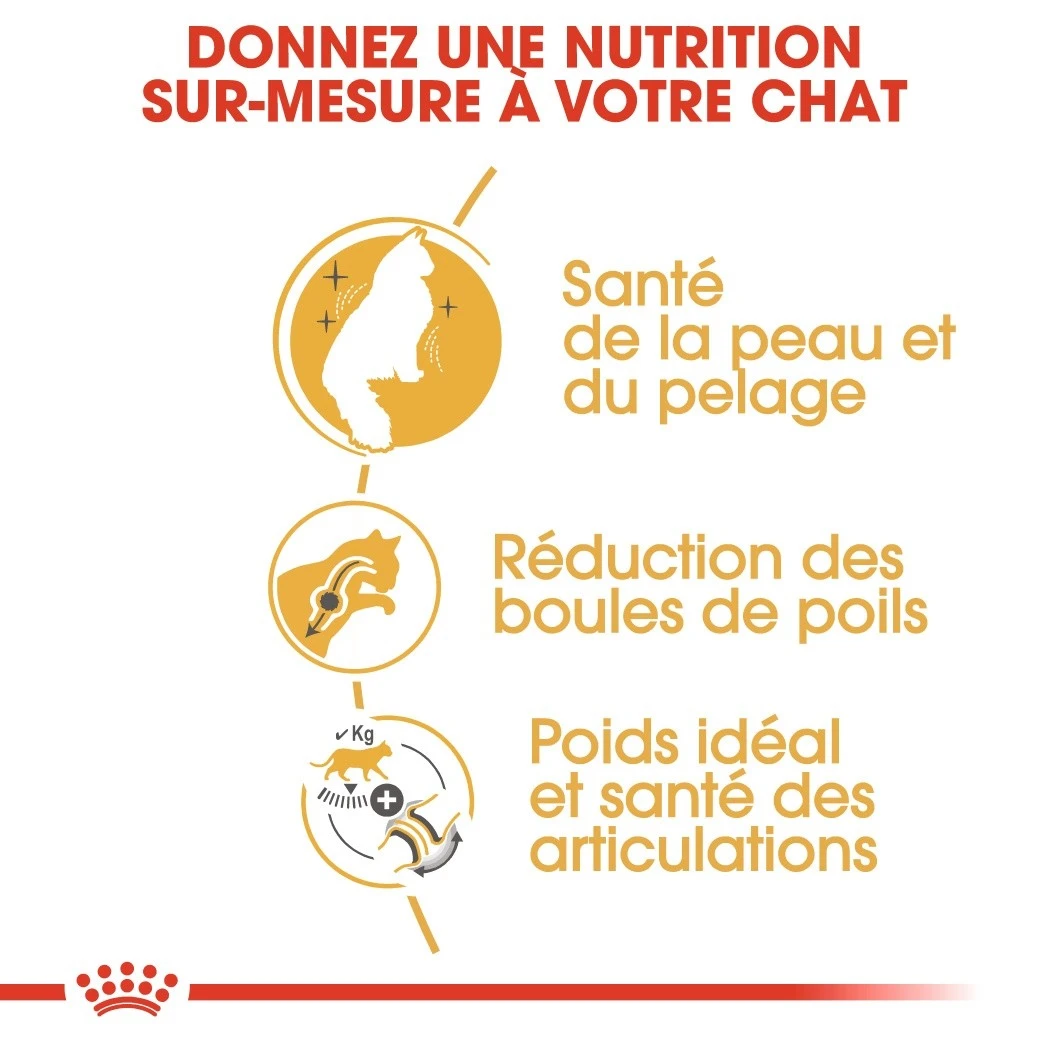 Royal Canin Chat Norvégien Adult 10kg – Image 4