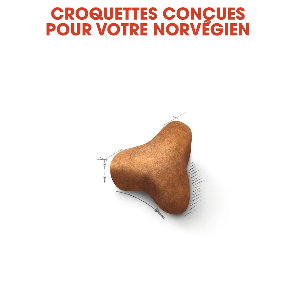 Royal Canin Chat Norvégien Adult 10kg – Image 5