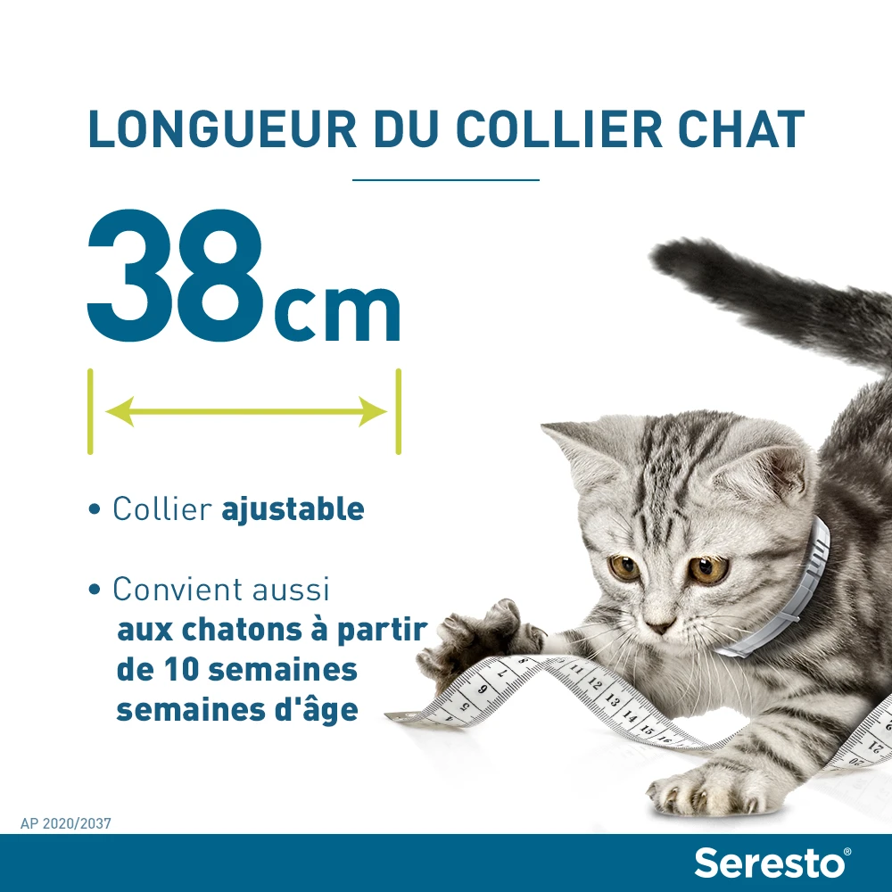 Seresto Collier Chat – Image 4